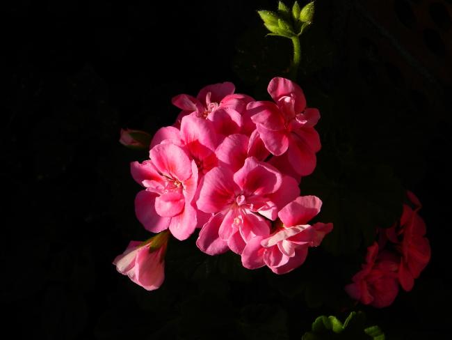 Name:  DSCN1672.jpg
Views: 511
Size:  24.0 KB