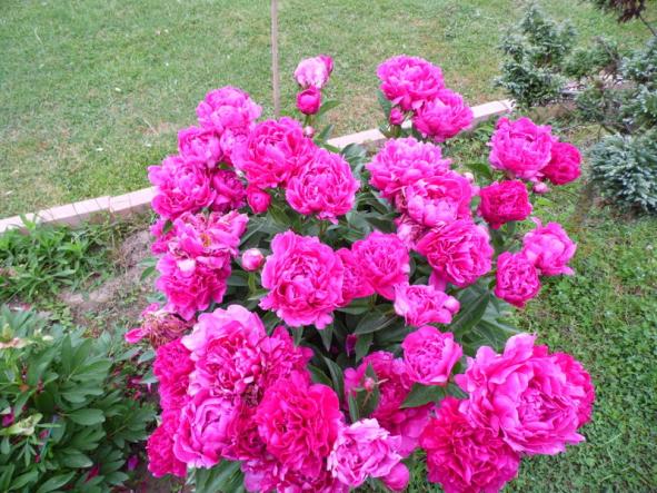 Name:  069-069.jpg
Views: 1274
Size:  71.7 KB