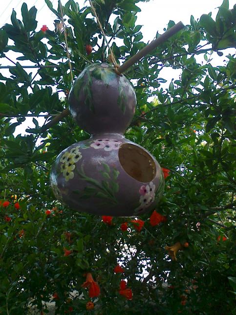 Name:  Fotoraf0930.jpg
Views: 613
Size:  77.8 KB