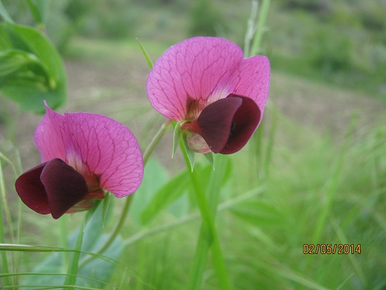 Name:  4.jpg
Views: 930
Size:  64.4 KB