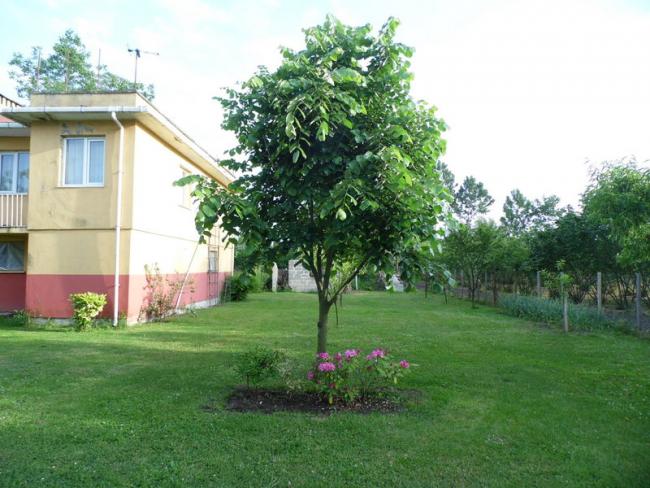 Name:  104-109.jpg
Views: 1161
Size:  57.2 KB