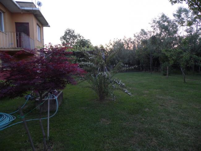 Name:  378-383.jpg
Views: 1591
Size:  46.0 KB