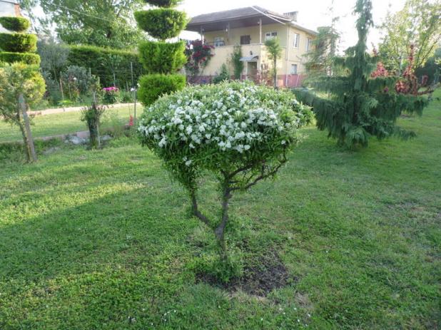 Name:  191-196.jpg
Views: 1147
Size:  70.6 KB