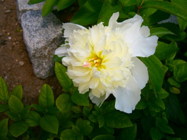 Name:  akayk.jpg
Views: 767
Size:  56.9 KB