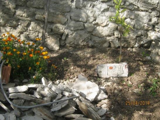 Name:  havuz evresi1.jpg
Views: 825
Size:  53.7 KB