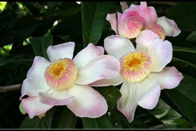 Name:  024.jpg
Views: 534
Size:  36.2 KB