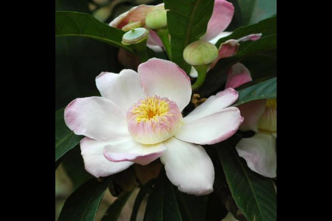 Name:  025.jpg
Views: 448
Size:  25.6 KB