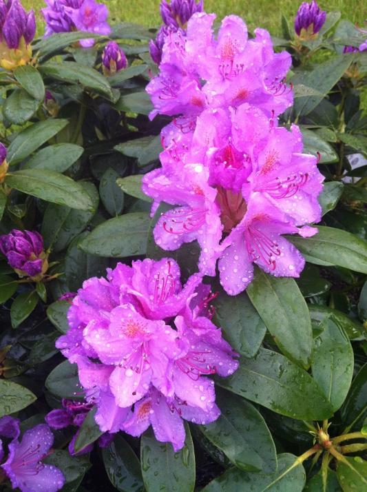 Name:  059.jpg
Views: 611
Size:  75.2 KB