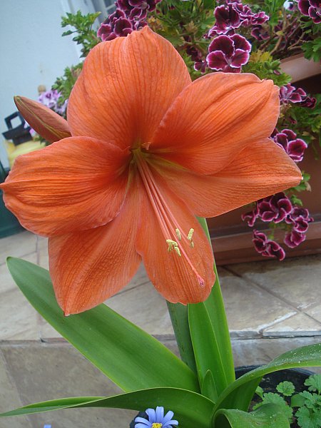 Name:  DSC06709.jpg
Views: 1049
Size:  67.0 KB
