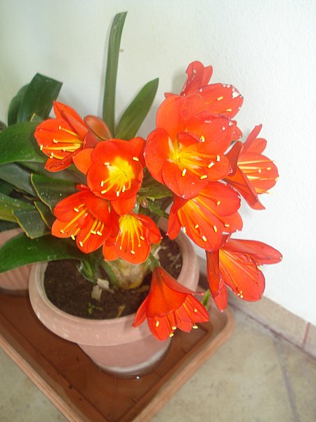 Name:  DSC06665.jpg
Views: 973
Size:  50.1 KB