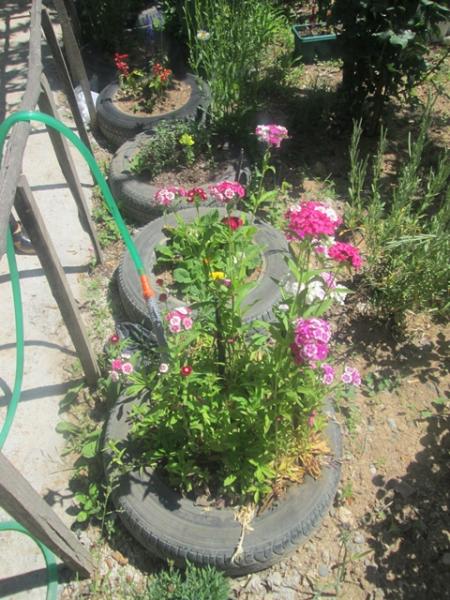 Name:  IMG_4033.jpg
Views: 629
Size:  65.0 KB
