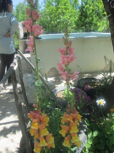 Name:  IMG_4039.jpg
Views: 610
Size:  54.4 KB