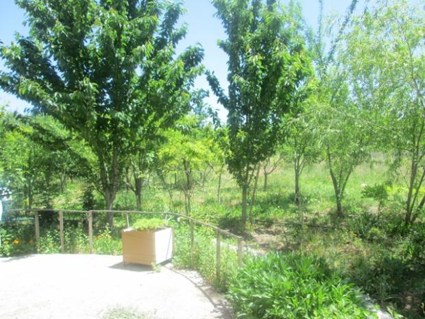 Name:  IMG_4096.jpg
Views: 611
Size:  71.8 KB