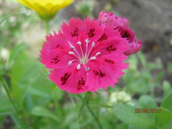 Name:  in k. 1.jpg
Views: 725
Size:  25.4 KB