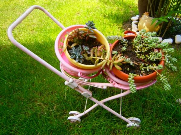 Name:  sedum.jpg
Views: 888
Size:  62.4 KB