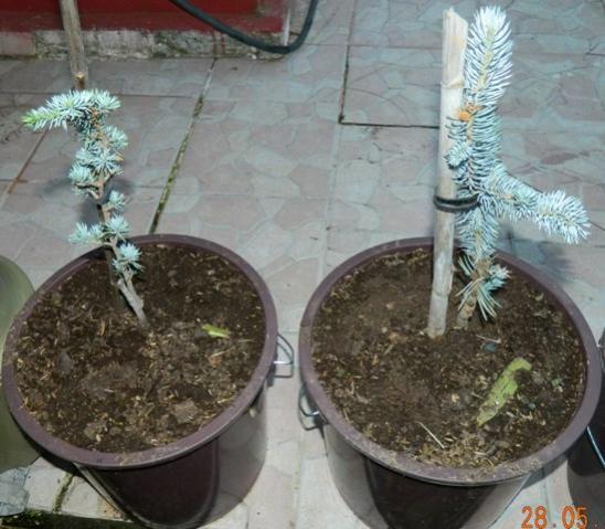 Name:  Resim 203.jpg
Views: 985
Size:  45.0 KB