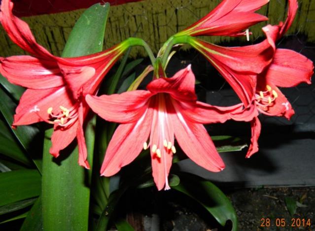 Name:  Resim 223.jpg
Views: 711
Size:  48.5 KB
