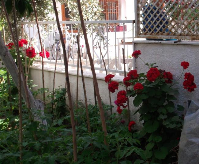 Name:  DSCF4921.jpg
Views: 717
Size:  66.8 KB
