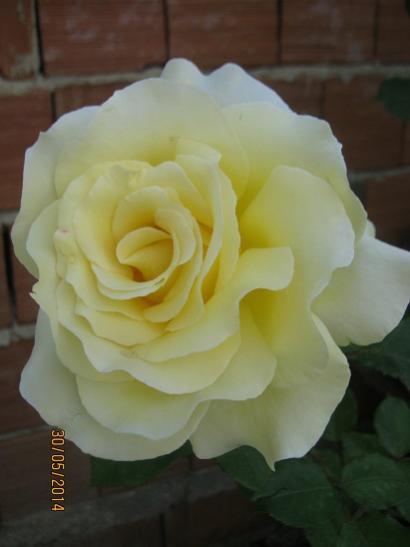 Name:  gl.jpg
Views: 971
Size:  19.3 KB