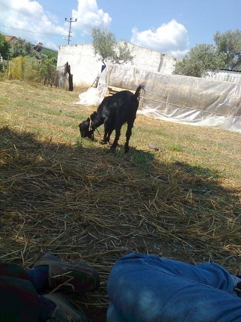 Name:  Fotoraf1039.jpg
Views: 513
Size:  71.4 KB
