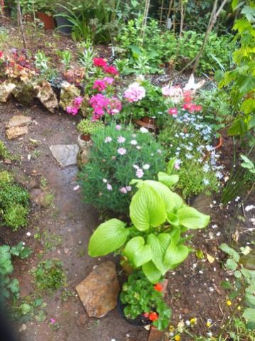 Name:  DSCF7219.jpg
Views: 485
Size:  46.5 KB
