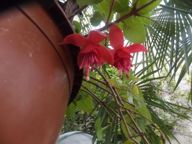 Name:  DSCF7230.jpg
Views: 458
Size:  49.0 KB