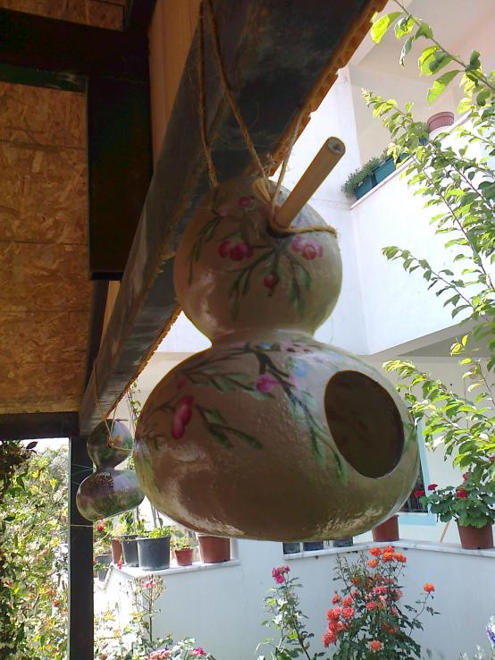 Name:  Fotoraf0984.jpg
Views: 732
Size:  73.9 KB