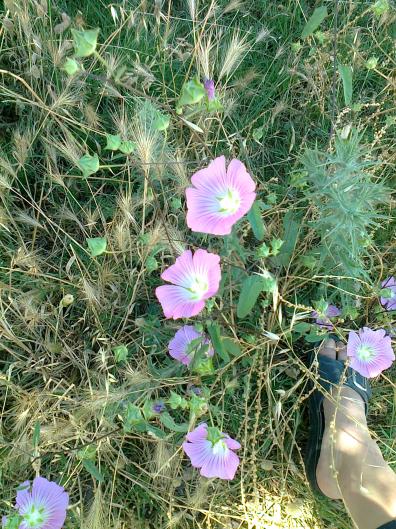 Name:  Fotoraf1058.jpg
Views: 541
Size:  77.8 KB