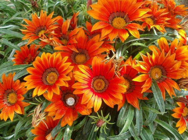 Name:  P1010860a.jpg
Views: 613
Size:  70.4 KB