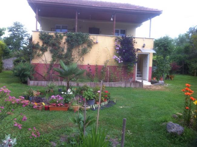 Name:  064-032.jpg
Views: 1066
Size:  53.6 KB