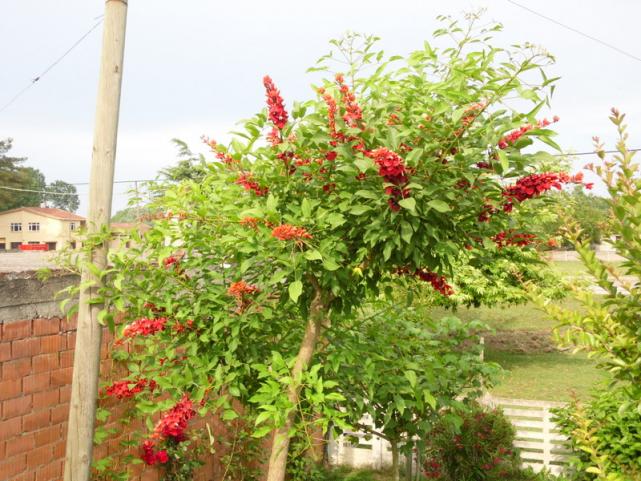 Name:  227-243.jpg
Views: 1041
Size:  70.8 KB