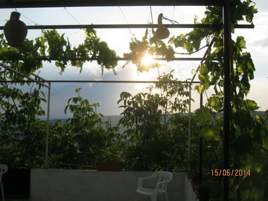 Name:  gnbatm.jpg
Views: 933
Size:  40.6 KB