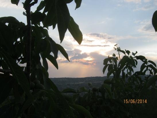 Name:  gnbatm1.jpg
Views: 906
Size:  25.5 KB