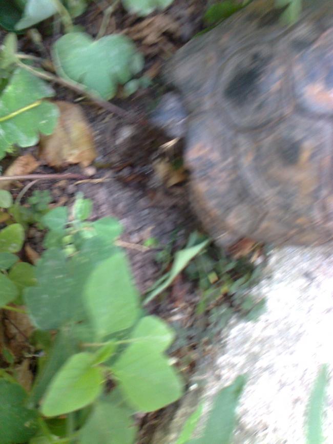 Name:  Fotoraf1259.jpg
Views: 546
Size:  61.2 KB