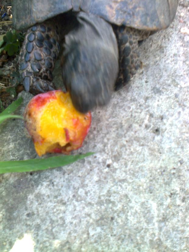 Name:  Fotoraf1268.jpg
Views: 526
Size:  71.3 KB