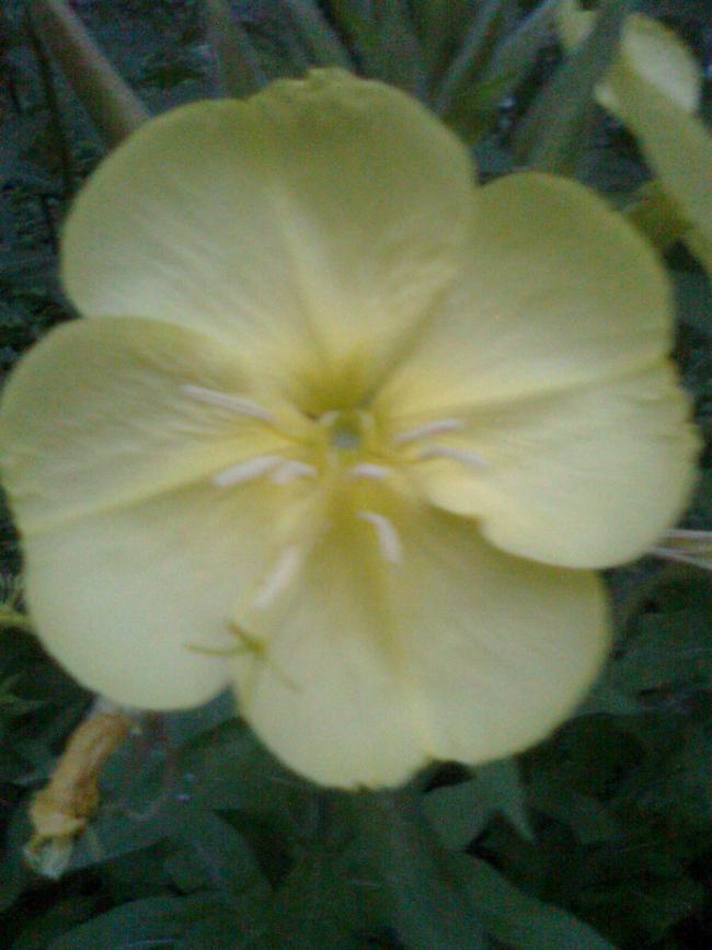 Name:  Grnt0143.jpg
Views: 585
Size:  55.2 KB