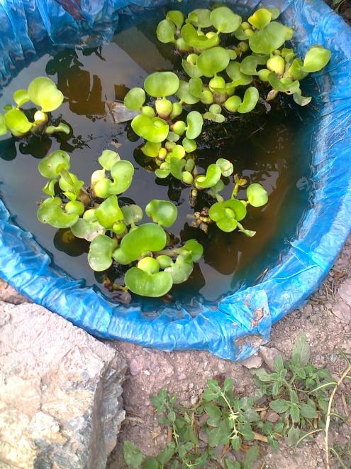 Name:  Fotoraf1133.jpg
Views: 519
Size:  77.2 KB