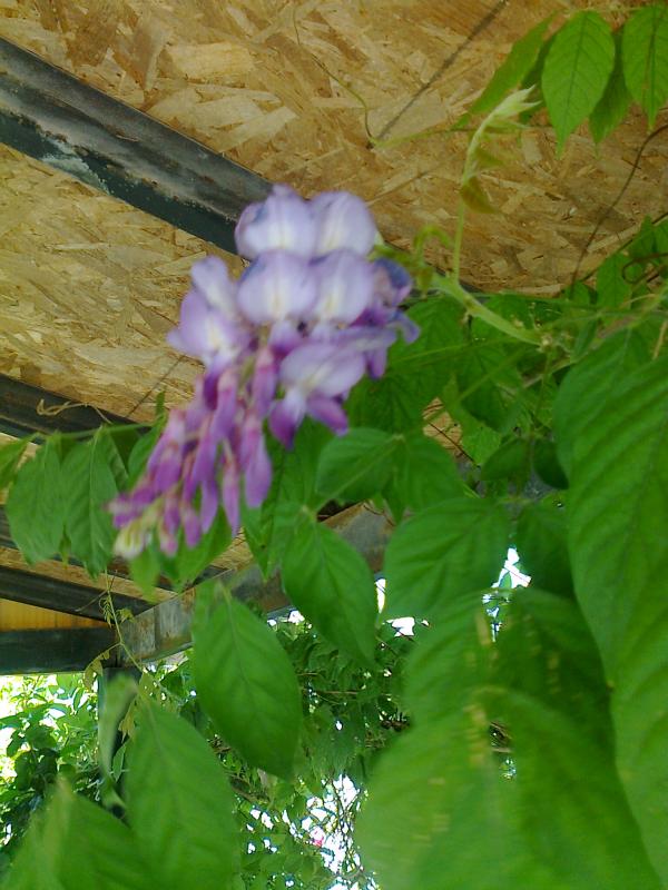 Name:  Fotoraf1145.jpg
Views: 506
Size:  71.4 KB