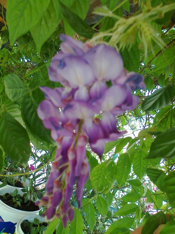 Name:  Fotoraf1146.jpg
Views: 525
Size:  74.3 KB