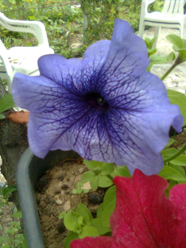 Name:  Grnt0114.jpg
Views: 515
Size:  71.3 KB