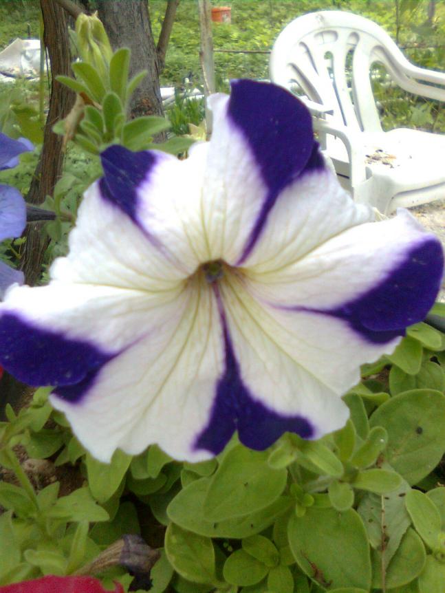 Name:  Grnt0113.jpg
Views: 503
Size:  69.6 KB