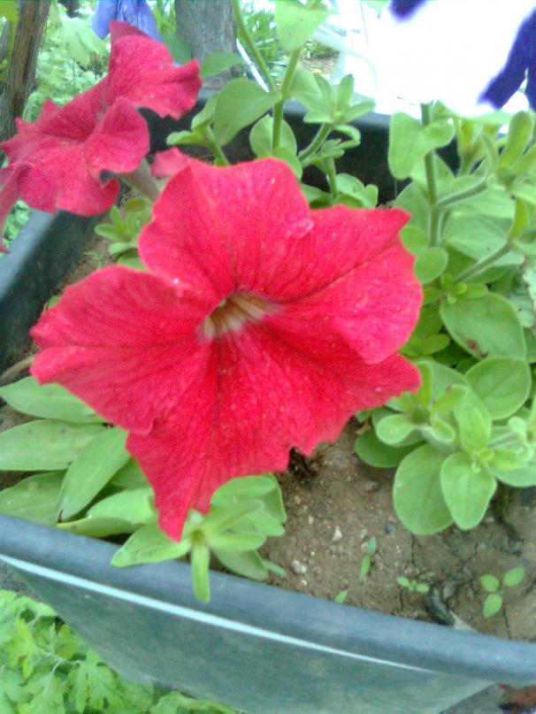 Name:  Grnt0112.jpg
Views: 499
Size:  70.8 KB