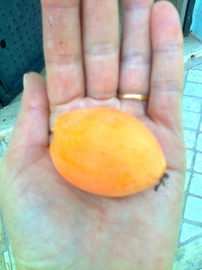 Name:  Fotoraf1329.jpg
Views: 463
Size:  50.9 KB