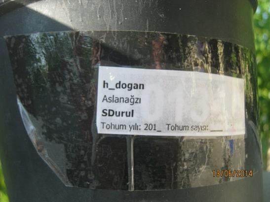 Name:  etiket.jpg
Views: 733
Size:  29.5 KB