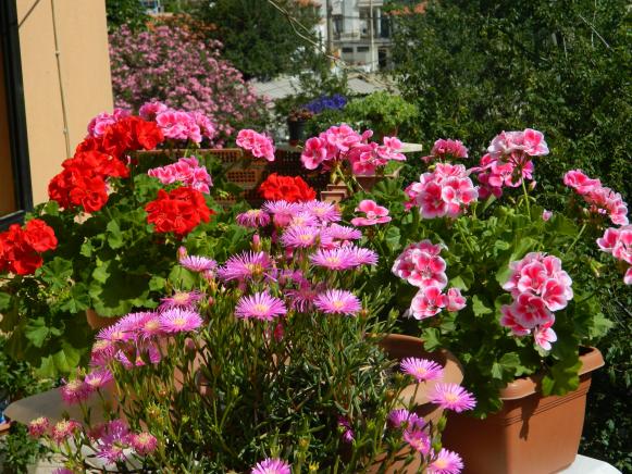 Name:  DSCN2001.jpg
Views: 439
Size:  72.7 KB