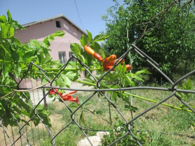 Name:  IMG_4612.jpg
Views: 408
Size:  66.9 KB