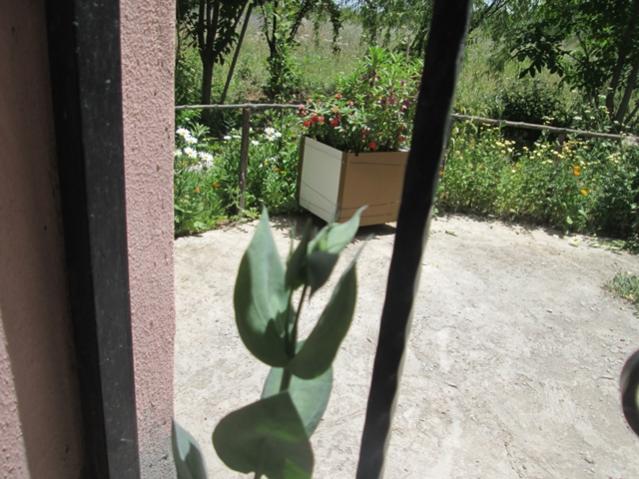 Name:  IMG_4617.jpg
Views: 400
Size:  54.1 KB
