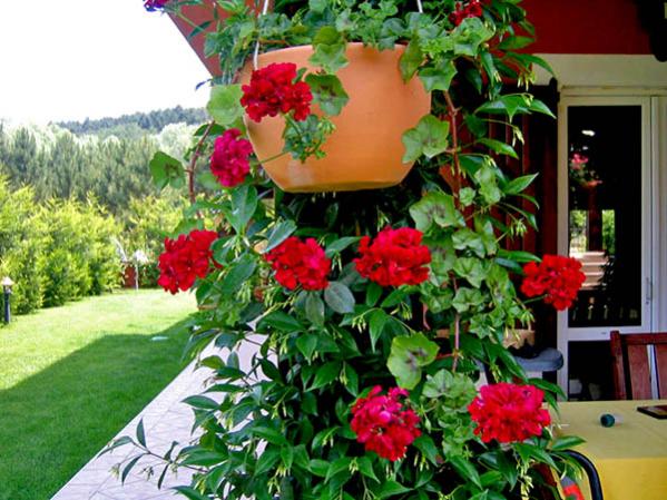Name:  bahem01.jpg
Views: 12639
Size:  60.9 KB