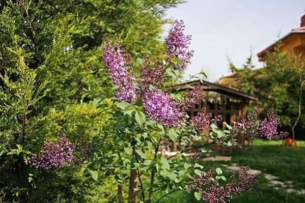 Name:  bahcem03.jpg
Views: 11748
Size:  67.5 KB