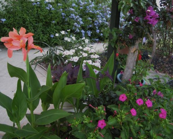 Name:  IMG_5706.jpg
Views: 923
Size:  55.0 KB